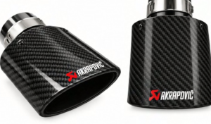 Puntera Ovalada Akrapovic Carbono Interior Negro 18cm